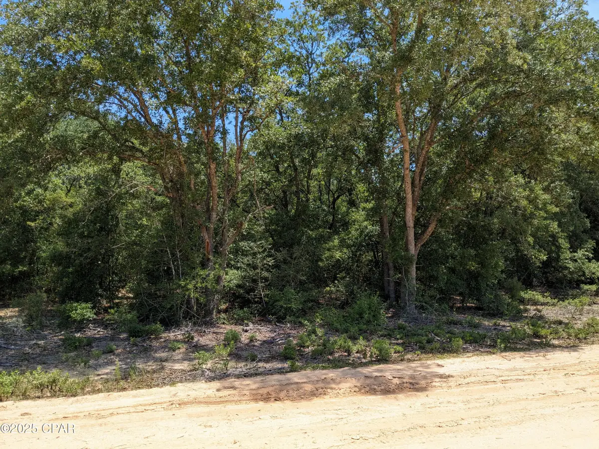 0 Cherry Circle, Marianna, FL 32448 - Image #1