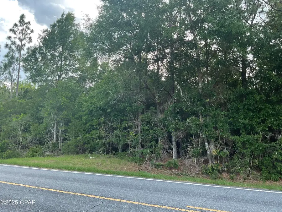 0 Lakepoint Road, Alford, FL 32420 - Image #3