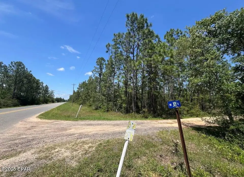 3974 NW Joy Lane, Altha, FL 32421 - Image #1