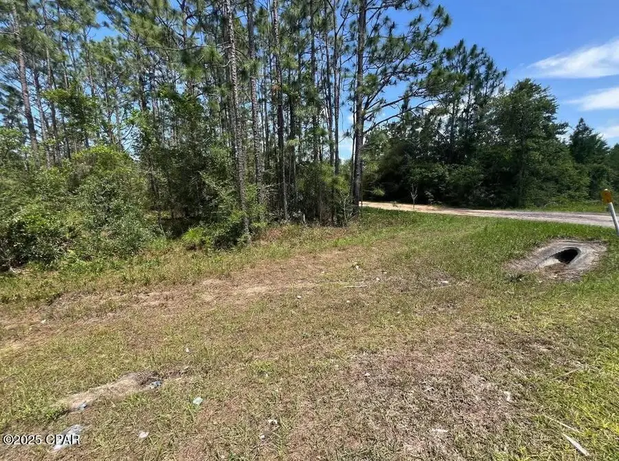 3974 NW Joy Lane, Altha, FL 32421 - Image #2