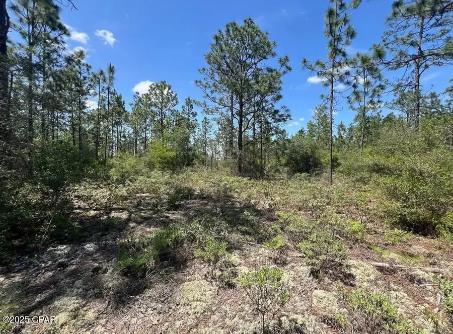 3974 NW Joy Lane, Altha, FL 32421 - Image #3