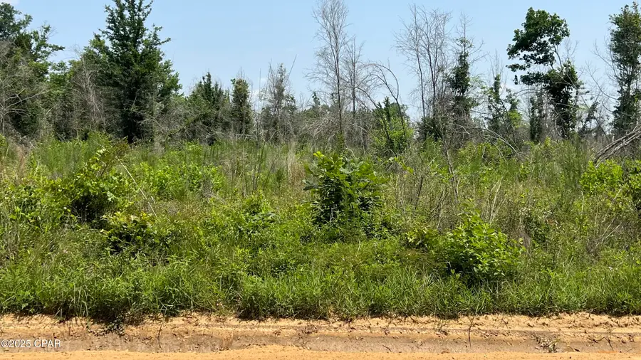 00 Christmas Road, Campbellton, FL 32426 - Image #3