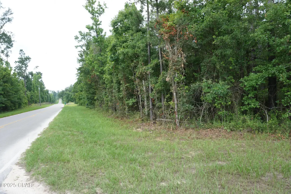 xxx Hammond Road, Sneads, FL 32460 - Image #1