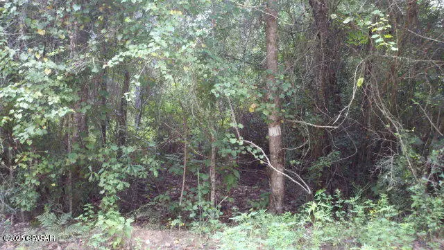 0 Tj Mitchell Road, Bonifay, FL 32425 - Image #1