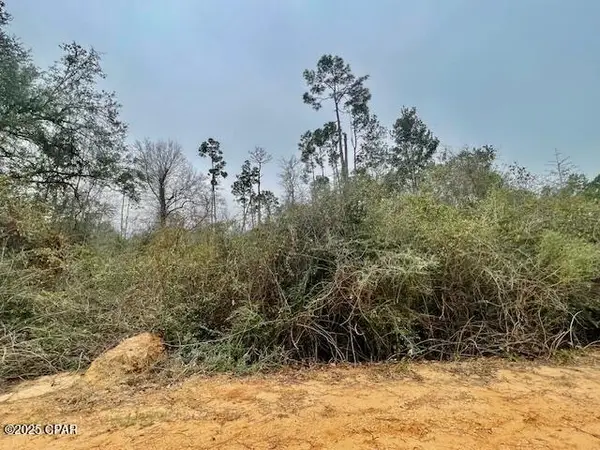 0 Tamarac Road, Marianna, FL 32448