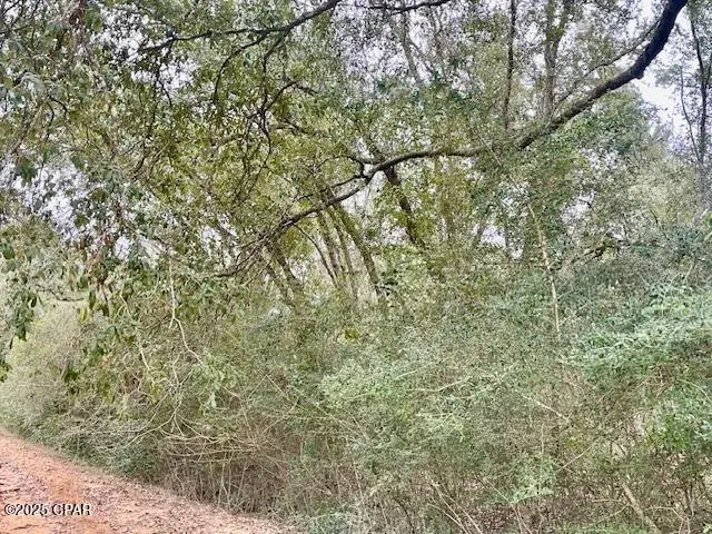 0 Tamarac Road, Marianna, FL 32448 - Image #2