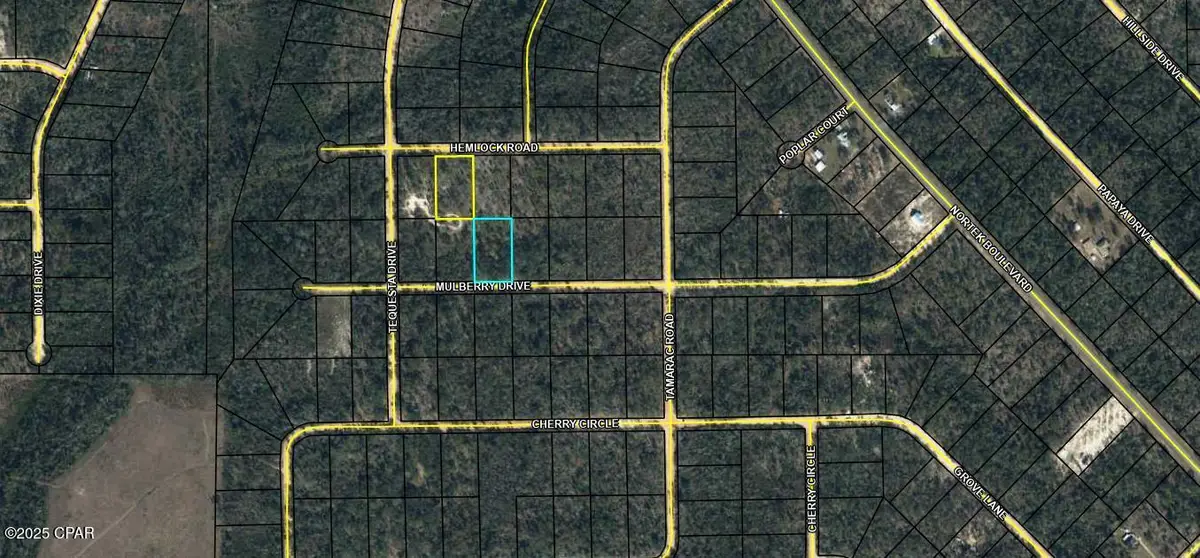 TBD Mulberry Dr And Hemlock Rd #Lot 10 & Lot 6, Marianna, FL 32448 - Image #1