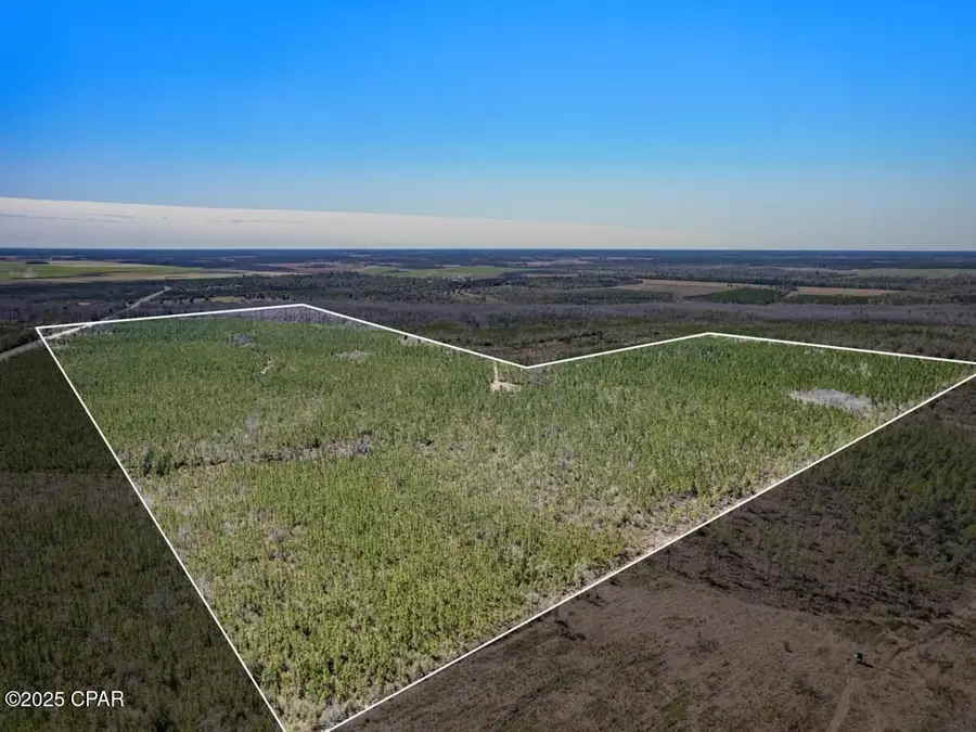 0 S Sr 71, West Calhoun, FL 32449 - Image #3