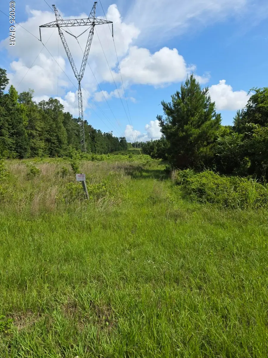 0 Donald Rd, Sneads, FL 32460 - Image #2