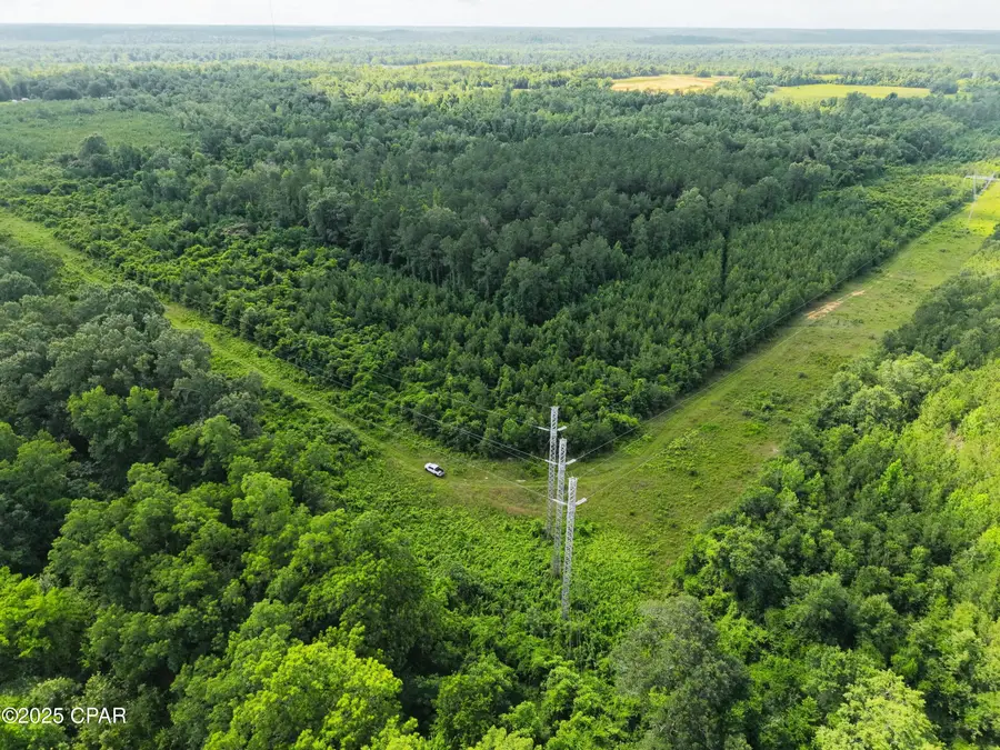 0 Donald Rd, Sneads, FL 32460 - Image #3