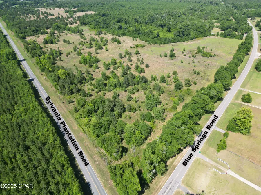 0000 Blue Springs Road, Greenwood, FL 32443 - Image #3