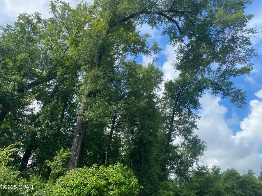 0000 Oak Drive #13, Marianna, FL 32446 - Image #2