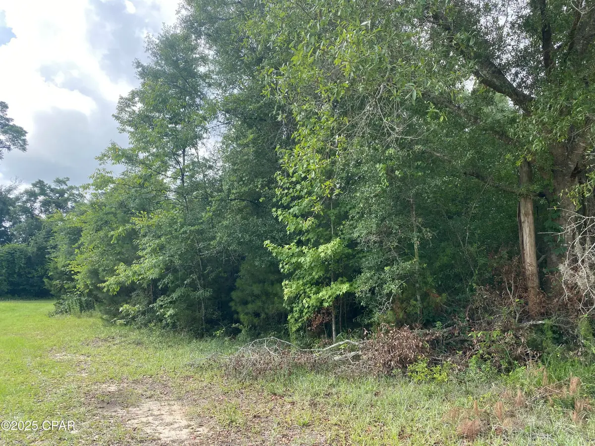 0000 Robins Way #36, Marianna, FL 32446 - Image #1