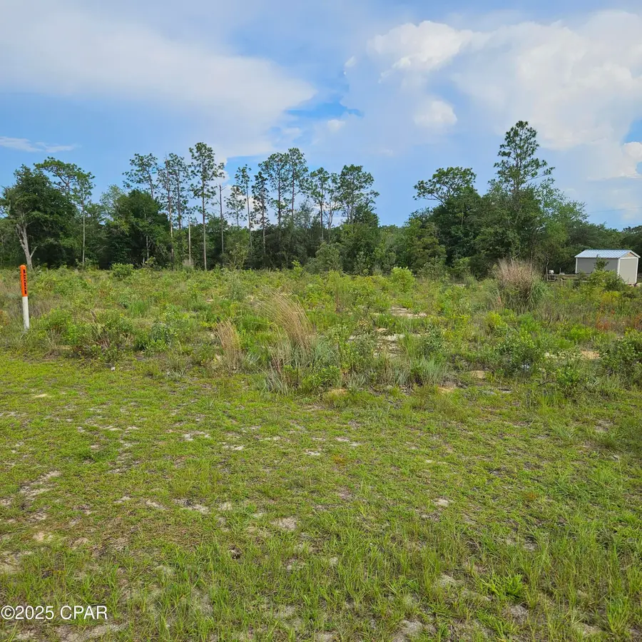 TBD Sunny Hills Boulevard, Chipley, FL 32428 - Image #2