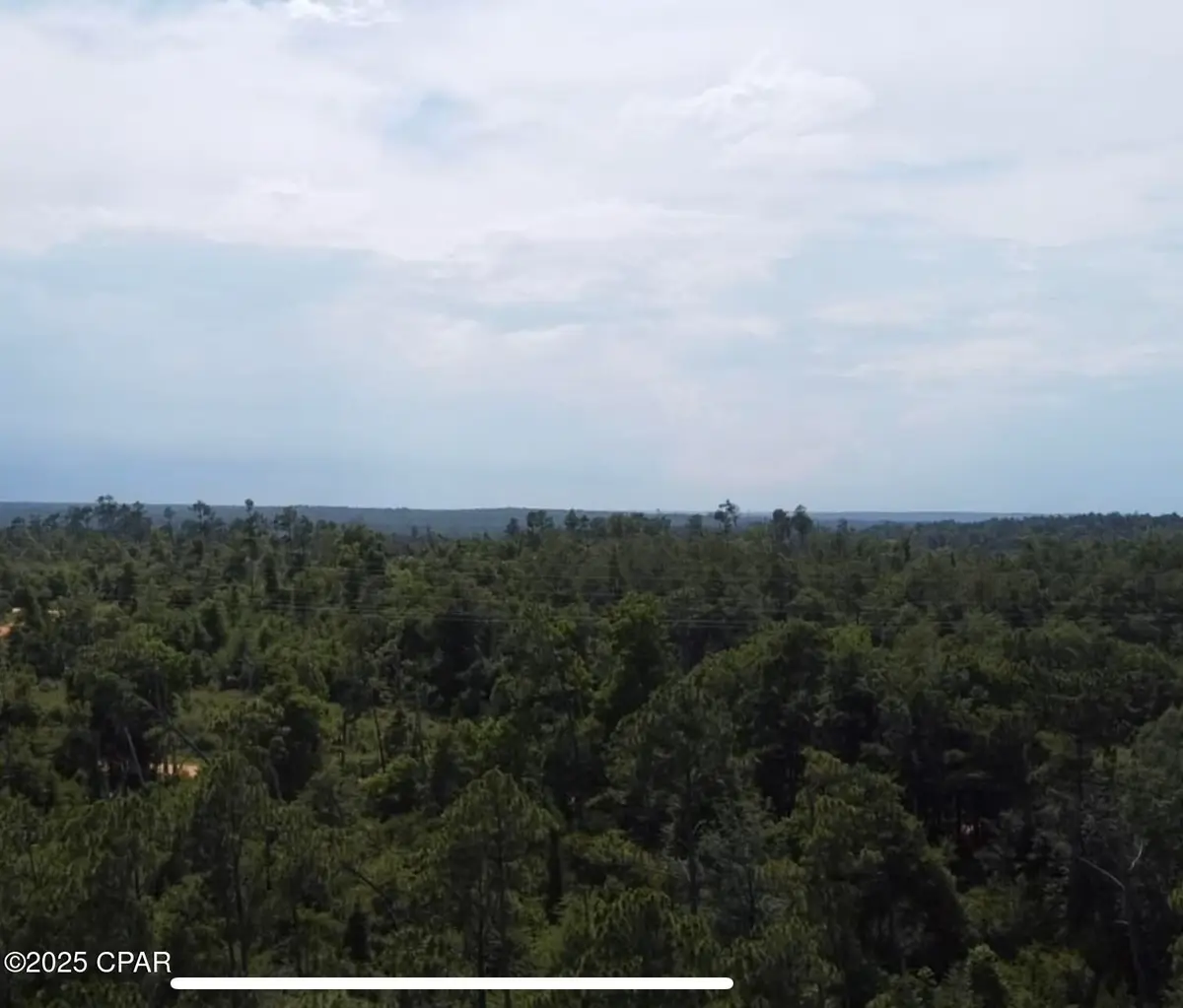 0 Edison Avenue, Alford, FL 32420 - Image #1