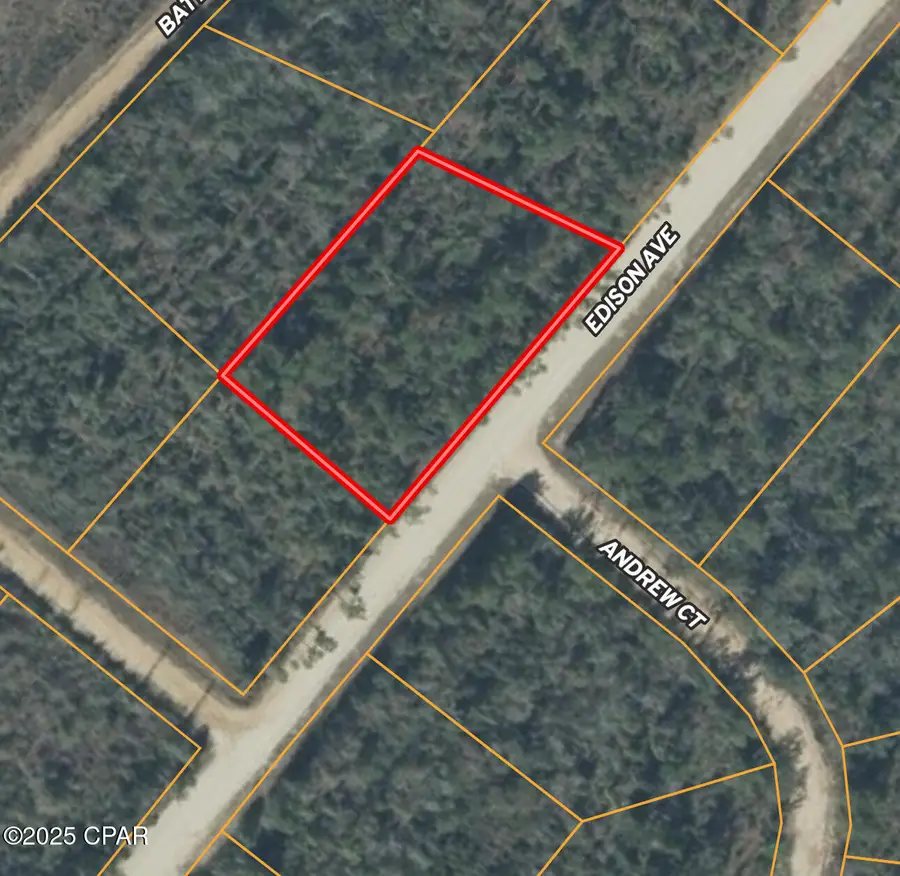 0 Edison Avenue, Alford, FL 32420 - Image #3