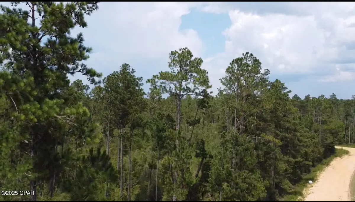 0 Black Hills Street, Alford, FL 32420 - Image #1