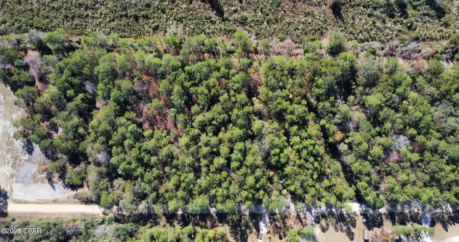 00 Willoughby Lane, Bonifay, FL 32425 - Image #2