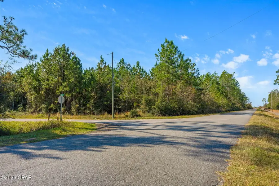 TBD Luke Ford Road, Wewahitchka, FL 32465 - Image #2