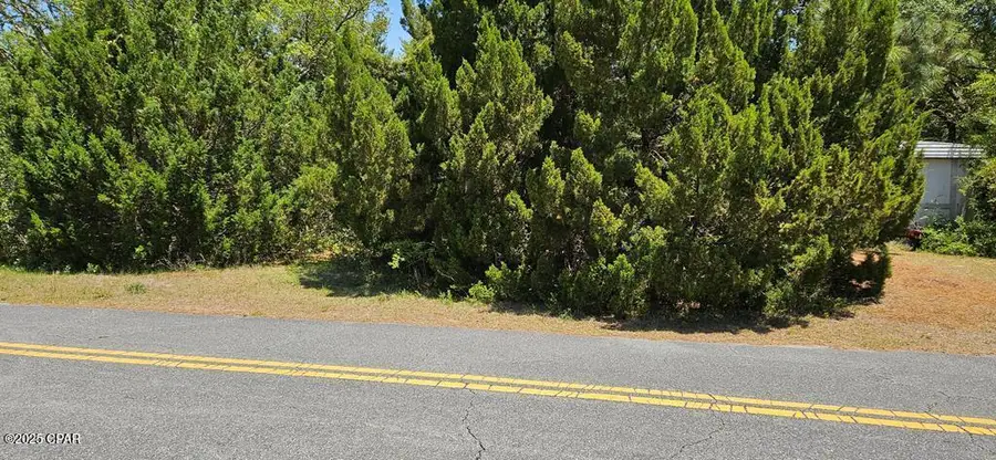 139 Connecticut Street, Lanark Village, FL 32323 - Image #3