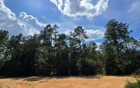 Lot 2 Jackson Road, Marianna, FL 32448 - Image #1