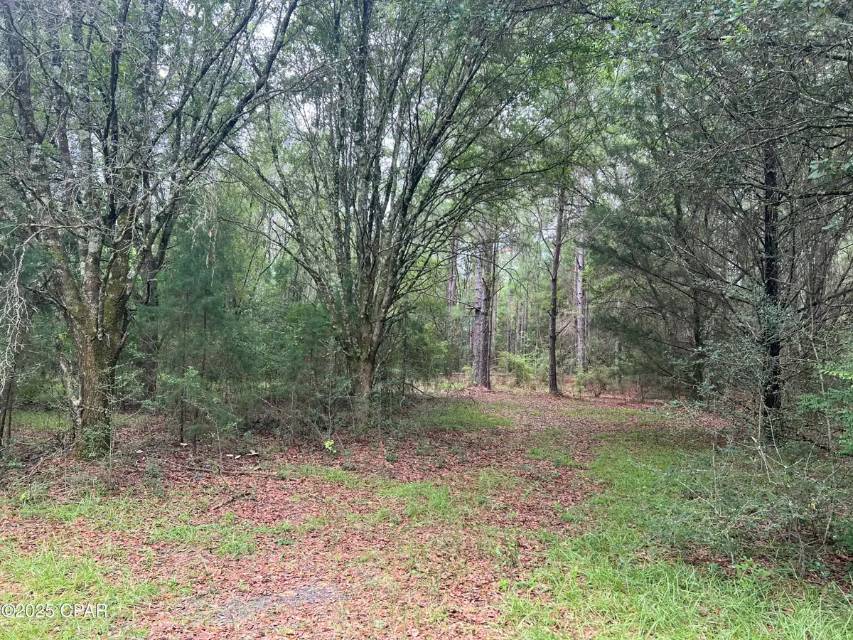 1680 Franks Lane, Bonifay, FL 32425 - Image #1