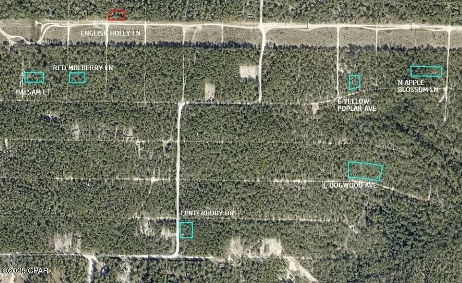 0 E Dogwood Avenue, Defuniak Springs, FL 32433 - Image #2