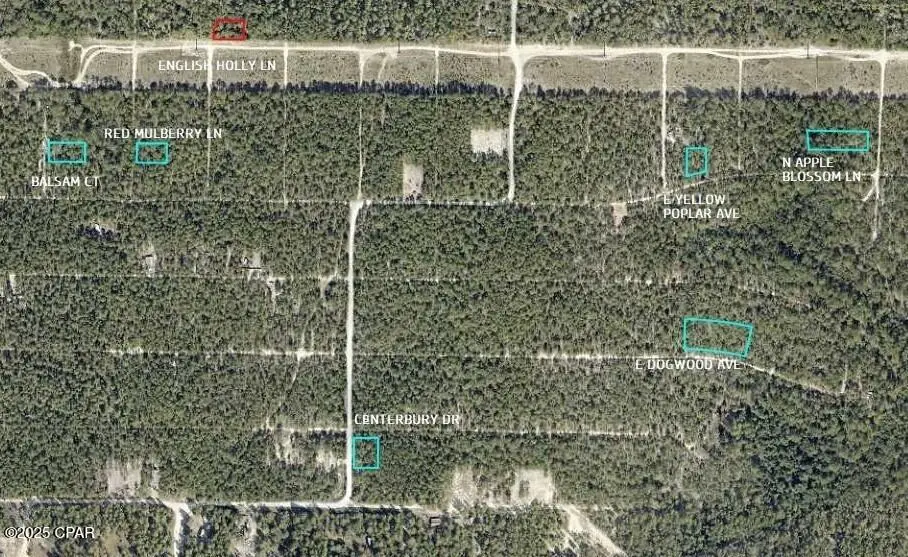 0 English Holly Lane, Defuniak Springs, FL 32433 - Image #1