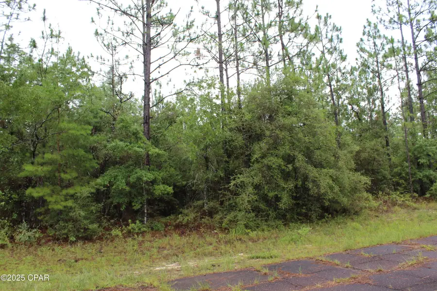 TBD Deborah Avenue, Chipley, FL 32428 - Image #3