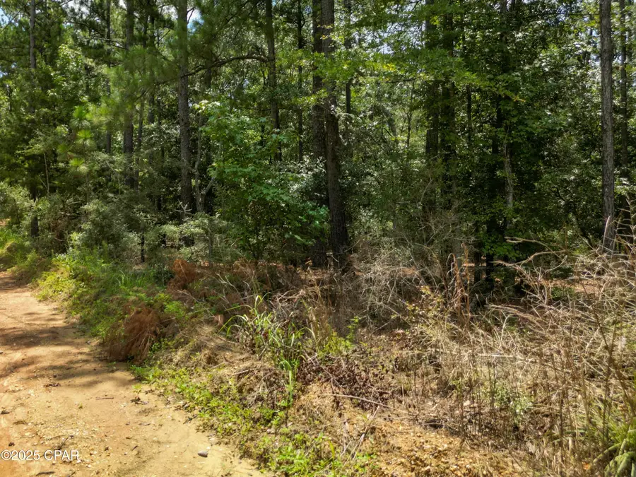 TBD Creek Run Road, Vernon, FL 32462 - Image #2