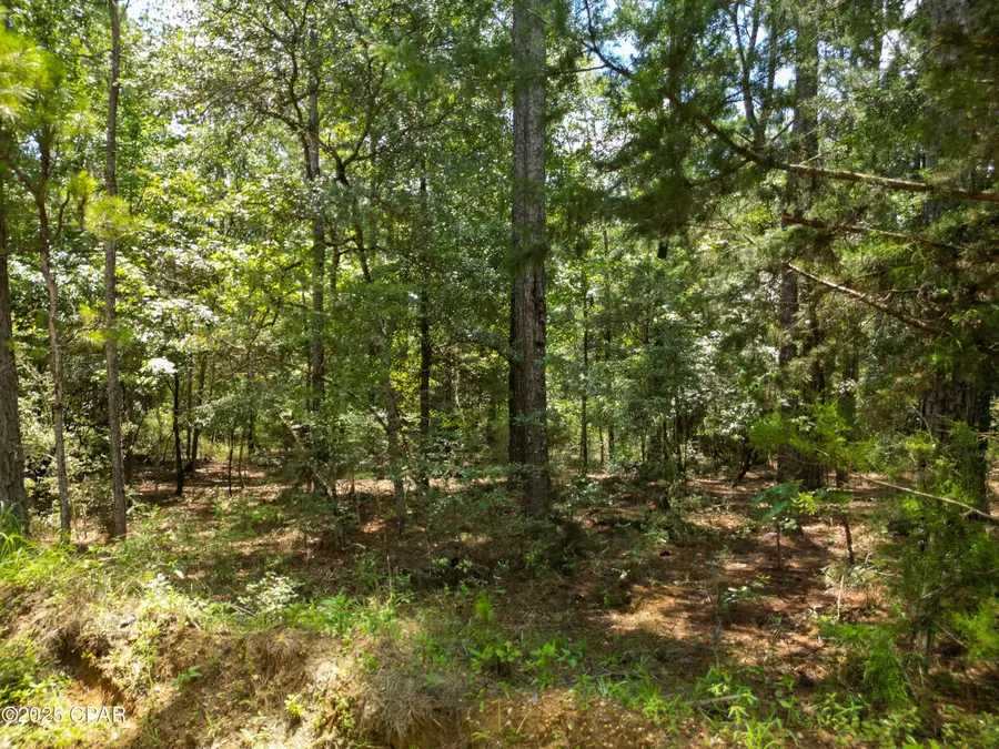 TBD Creek Run Road, Vernon, FL 32462 - Image #3