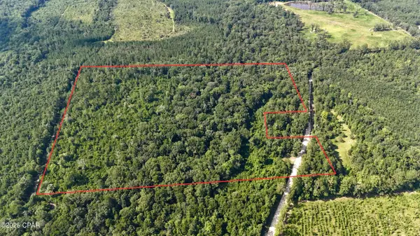 37+Acres Ten Mile Rd, Bonifay, FL 32425