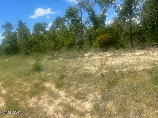 TBD Cachet Court #9, Chipley, FL 32428