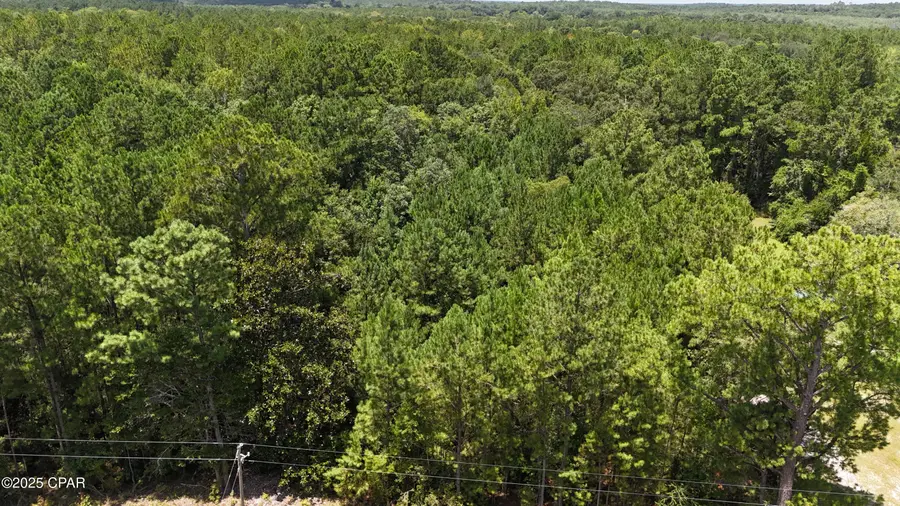 1794 Highway 79, Bonifay, FL 32425 - Image #3