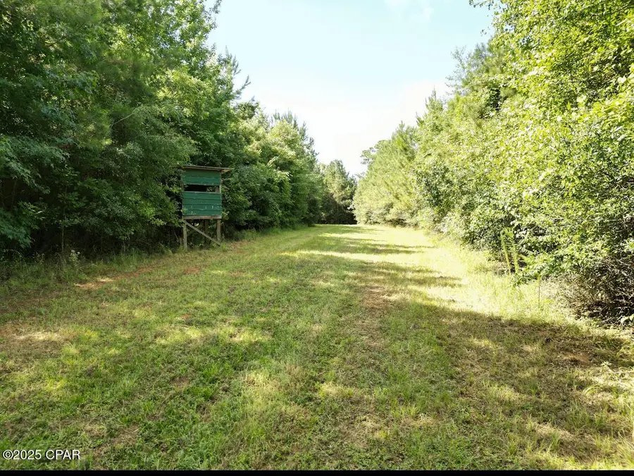 xxx Greensboro Highway, Quincy, FL 32351 - Image #2