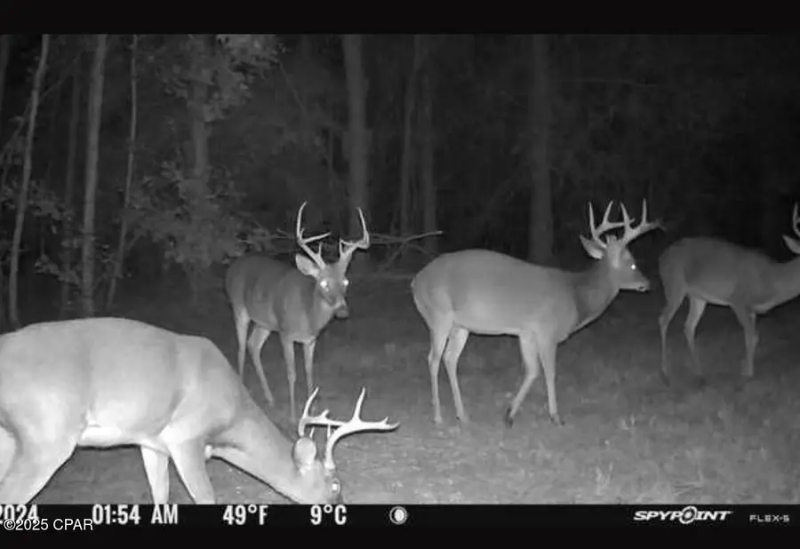 xxx Greensboro Highway, Quincy, FL 32351 - Image #3