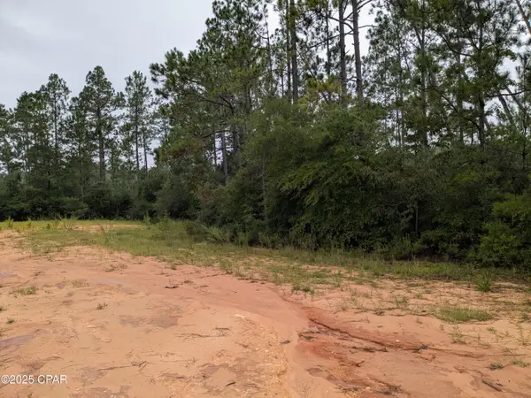 0 Deshutes Drive, Alford, FL 32420