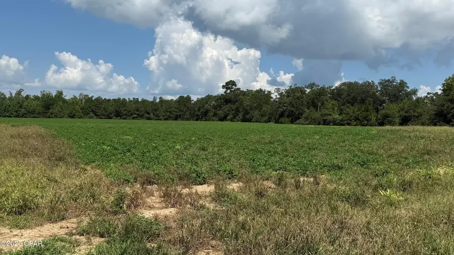 2183 Highway 73, Marianna, FL 32448 - #2
