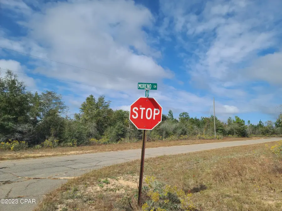 0 Moreno Circle #Lot 55, Chipley, FL 32428 - Image #3