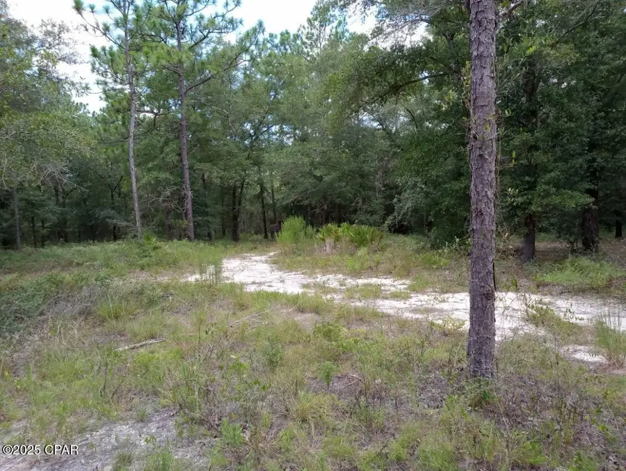 Lot 7 & 8 E Yellow Poplar Avenue, Defuniak Springs, FL 32433 - Image #2