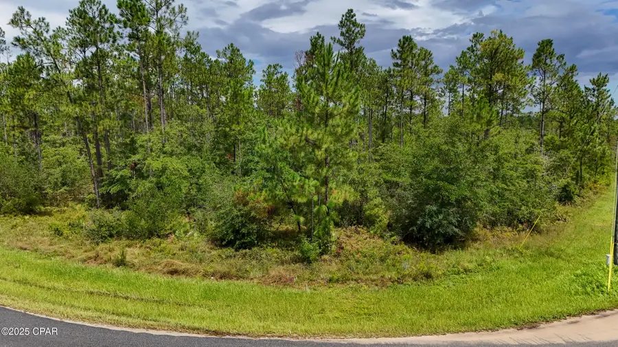 TBD Cowels Road, Fountain, FL 32438 - Image #3
