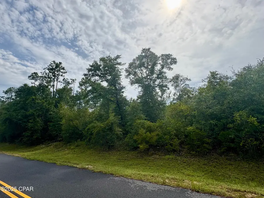 Lot 8 View Drive, Alford, FL 32420 - Image #2