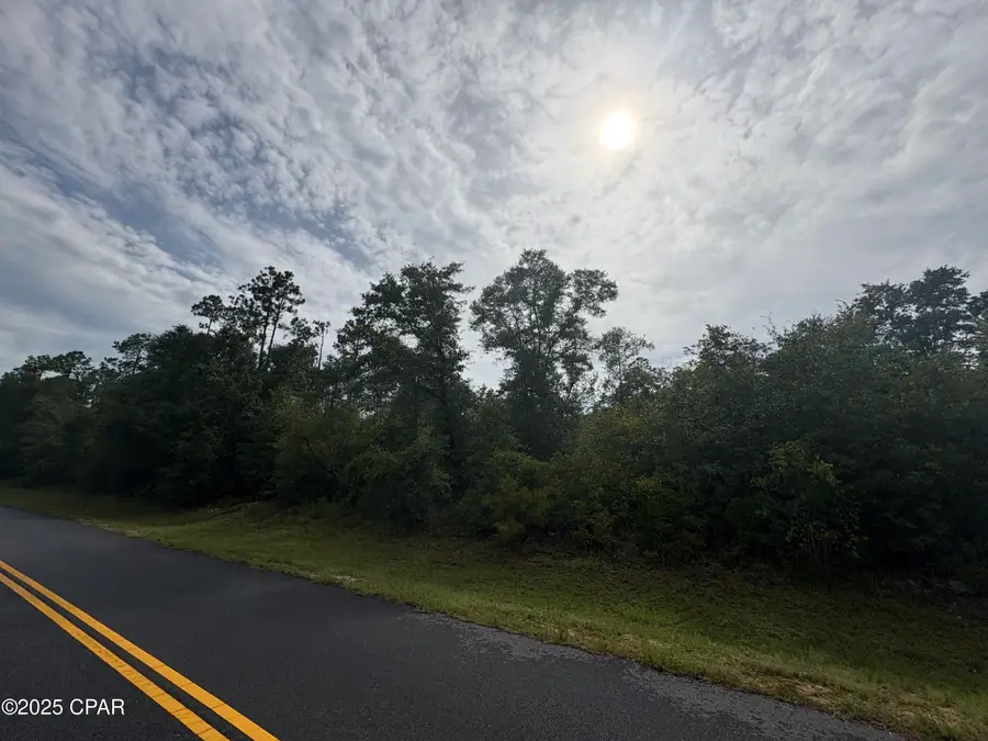 Lot 8 View Drive, Alford, FL 32420 - Image #3