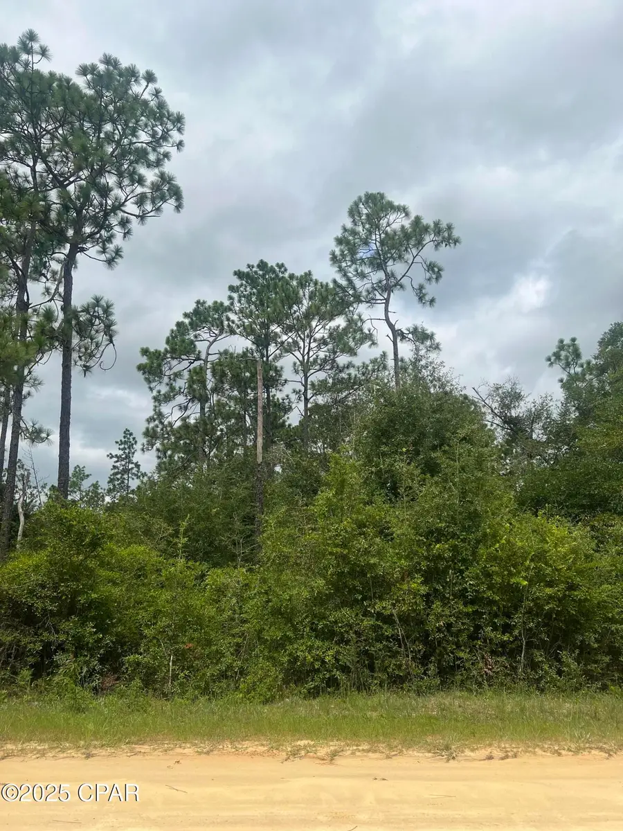 0 Brandon Road, Fountain, FL 32438 - Image #2