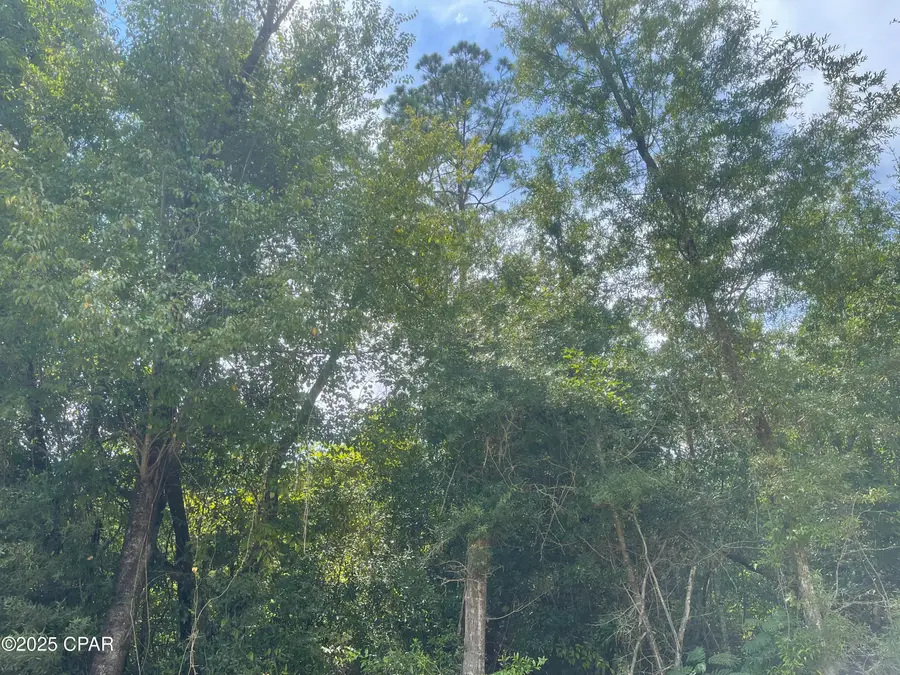 0000 Lot 10 Calhoun Road, Greenwood, FL 32443 - Image #3