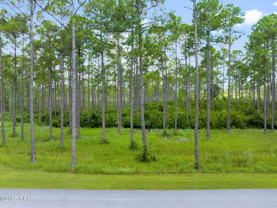 8625 Preservation Drive, Panama City Beach, FL 32413 - #3