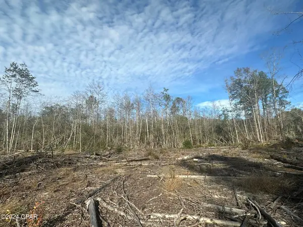 Tract 6331 Sellers Road, Bonifay, FL 32425