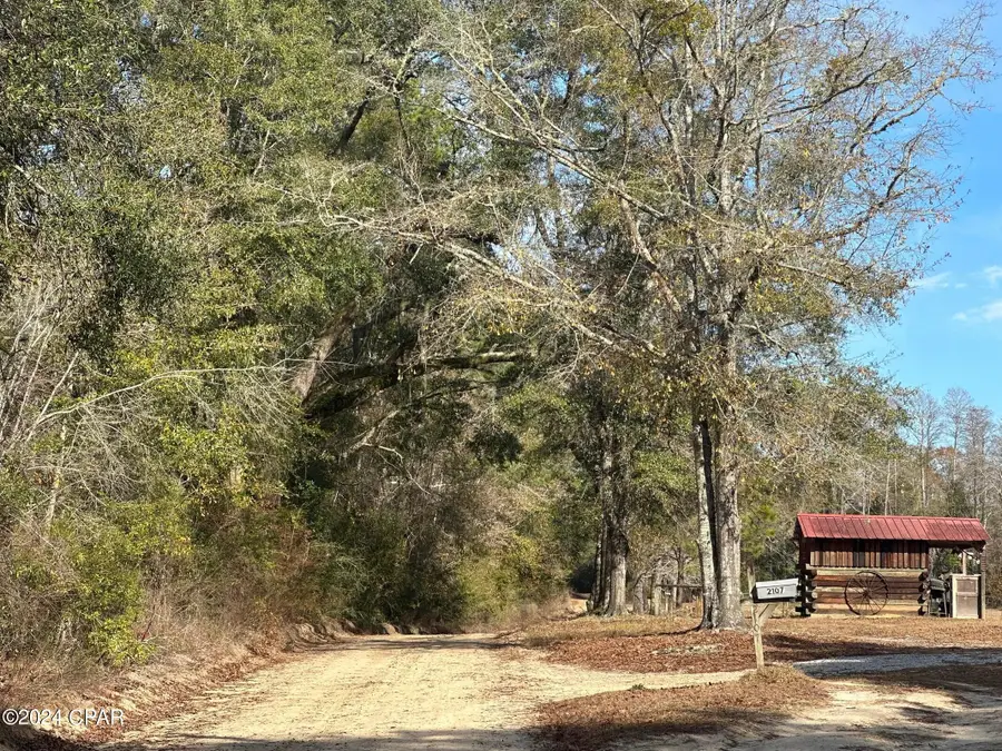 Tract 6331 Sellers Road, Bonifay, FL 32425 - Image #3