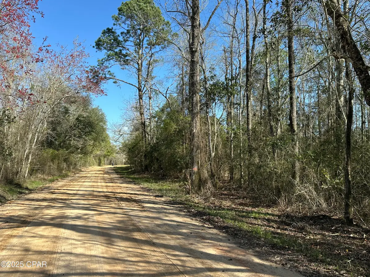 Tract#6317 Harris Stevenson Road, Bonifay, FL 32425 - Image #1