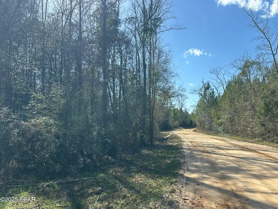 Tract#6317 Harris Stevenson Road, Bonifay, FL 32425 - Image #2
